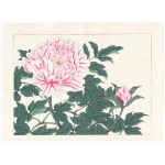 Tomioka Tessai, Peonies