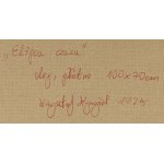 Krzysztof Żyngiel (nar. 1982), Časová elipsa, 2005