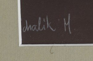 Marian Michalik (1947 Zabrze - 1997 Częstochowa), 