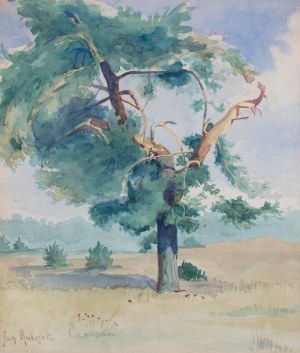 Jan Rubczak (1884 Stanisławów - 1942 Oświęcim), Samotne drzewo