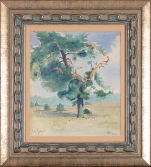 Jan Rubczak (1884 Stanisławów - 1942 Oświęcim), Samotne drzewo