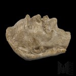 Second Republic/Polish Marshal Jozef Pilsudski: Unique Posthumous Mask with Provenience, Jan Szczepkowski 1935, Colonel Jozef Herzog