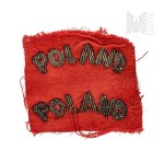 PSZnZ Patches Poland Bajorek Invincible