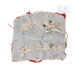 PSZnZ Patches Poland Bajorek Invincible