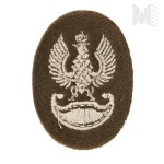PSZnZ Polish Embroidered Eagle Khaki - England
