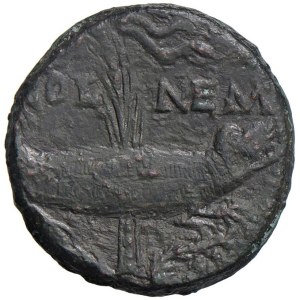 Roman coins Empire - Augustus (27 BC-14 AD) Dupondius (Nemausus) Opposing he...