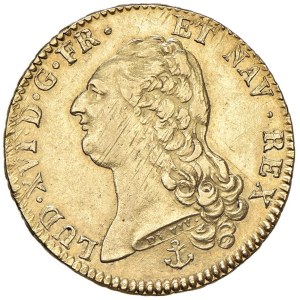 Foreign coins - FRANCIA Luigi XVI (1774-1792) Doppio Luigi 1787 H - KM ...