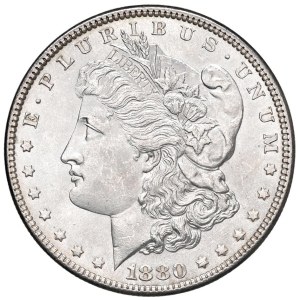 Foreign coins - USA Dollaro 1880 - KM 110 AG (g 26,79)...