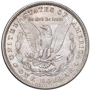 Foreign coins - USA Dollaro 1880 - KM 110 AG (g 26,79)...