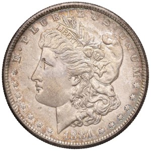 Foreign coins - USA Dollaro 1881 - KM 110 AG (g 26,76) Fondi lucenti co...