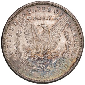 Foreign coins - USA Dollaro 1881 - KM 110 AG (g 26,76) Fondi lucenti co...
