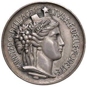 Fascist medals - MEDAGLIE FASCISTE Ventennio (1922-1943) Medaglia senza ...