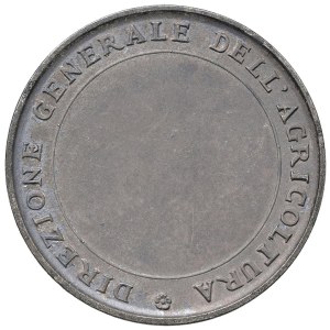 Fascist medals - MEDAGLIE FASCISTE Ventennio (1922-1943) Medaglia senza ...