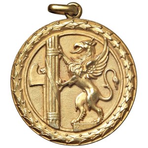 Fascist medals - MEDAGLIE FASCISTE Ventennio (1922-1943) Medaglia senza ...