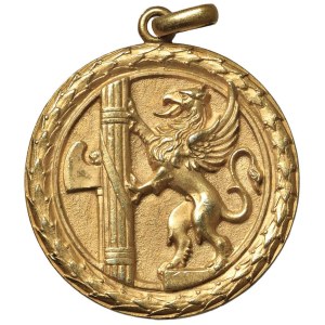 Fascist medals - MEDAGLIE FASCISTE Ventennio (1922-1943) Medaglia senza ...