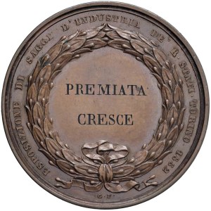 Savoy medals - MEDAGLIE DEI SAVOIA Carlo Alberto (1831-1849) Medaglia ...