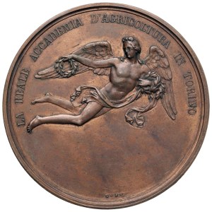 Savoy medals - MEDAGLIE DEI SAVOIA Regante Carlo Alberto (1831-1849) M...