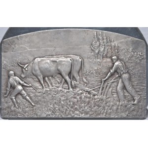 Foreign medals - FRANCIA. Gouvernement Gènèrale d'Agricoltura d'Algeria ...