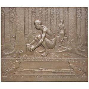 Foreign medals - FRANCIA-INDOCINA PLacchetta Art Decò-Nouveau 1928 40° A...