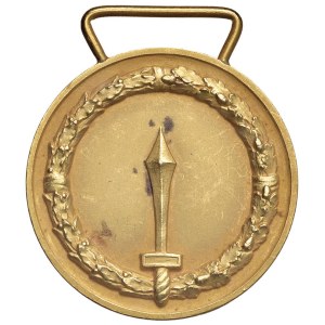 Italian and foreign honours - ONORIFICENZE Medaglia Al Merito di lungo comando - AU (...