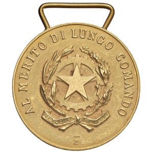 Italian and foreign honours - ONORIFICENZE Medaglia Al Merito di lungo comando - AU (...