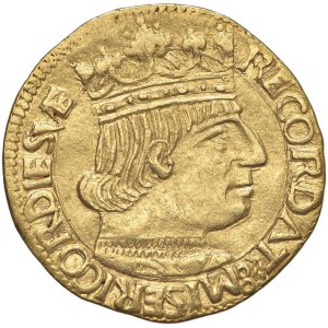 Italian coins - NAPOLI Ferdinando I d’Aragona (1458-1494) Ducato - Pann...