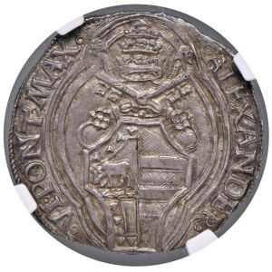 Papal coins - Alessandro VI (1492-1503) Grosso - Munt. 16 AG In slab ...