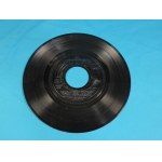 Trojanowska Steel Luggage