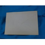 Lubuskie Film Summer Lagow 1984 FDC