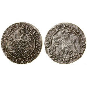 Polska, półgrosz, 1559, Wilno