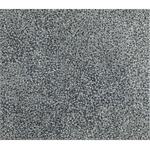 Celina Kanunnikava (b. 1988, Poznań), White noise, 2024