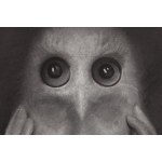 Łukasz Gierlak (b. 1985, Jawor), The owl man, 2023