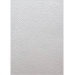 Ryszard Gieryszewski (1936 - 2021), Zborny punkt