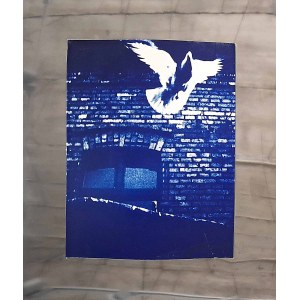 Andrzej Koniakowski (b. 1944), Silesian Dove, 2014