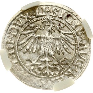 Lithuania Polgrosz 1549 Vilnius NGC MS 63