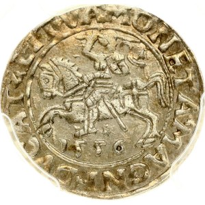 Lithuania Polgrosz 1556 Vilnius (R) PCGS MS 63