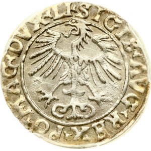 Lithuania Polgrosz 1556 Vilnius (R) PCGS MS 63