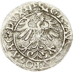 Lithuania Polgrosz 1560 Vilnius