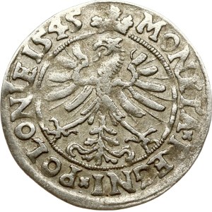 Poland Grosz 1545 Krakow (RR)