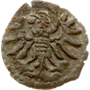Poland Denar 1554 Gdansk (R3-R4)