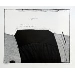 Marek Basiul, Exterior II, 1998