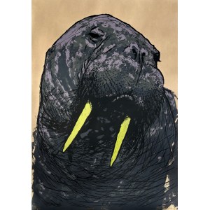 Jonasz Koperkiewicz, Walrus, 2013