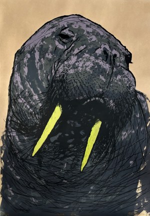 Jonasz Koperkiewicz, Mors, 2013