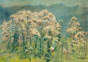Alfred Terlecki (1883 - 1973), 