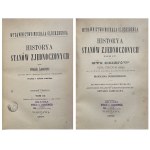 HISTORYA STANÓW ZJEDNOCZONYCH tom III-IV