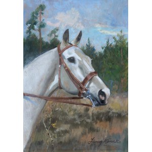 Jerzy Kossak, vedúci SIWEGO HORSE