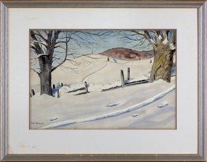 Rafał Malczewski, ZIMOWE POLA