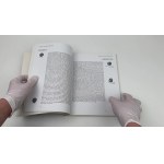 World of Brakteates, W. Garbaczewski