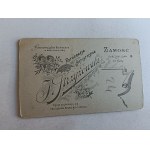 CARDBOARD PHOTO ZAMOSC, FOT STRZYŻOWSKI, WOMAN