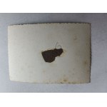 PHOTO MOTORCYCLE MOTORCYCLE